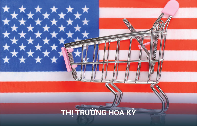 thị trường xuất khẩu hoa kỳ mỹ